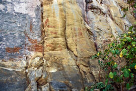 
Des peintures rupestres d'Afrique Australe. Botswana. La position de certaines figures a conduit à leur dégradation et dans certain cas leur lecture devient difficile
