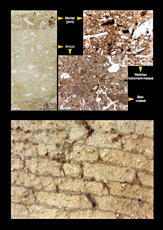 
Reconstitution de l'habitat néolithique à Khirokitia (Chypre). Mur de briques blanches, liées avec un mortier de terre grise (sédiment archéologique). Les briques crues, modelées et non moulées, sont utilisées pour la construction de murs (anneau intérieur) murets de partition ou banquettes
